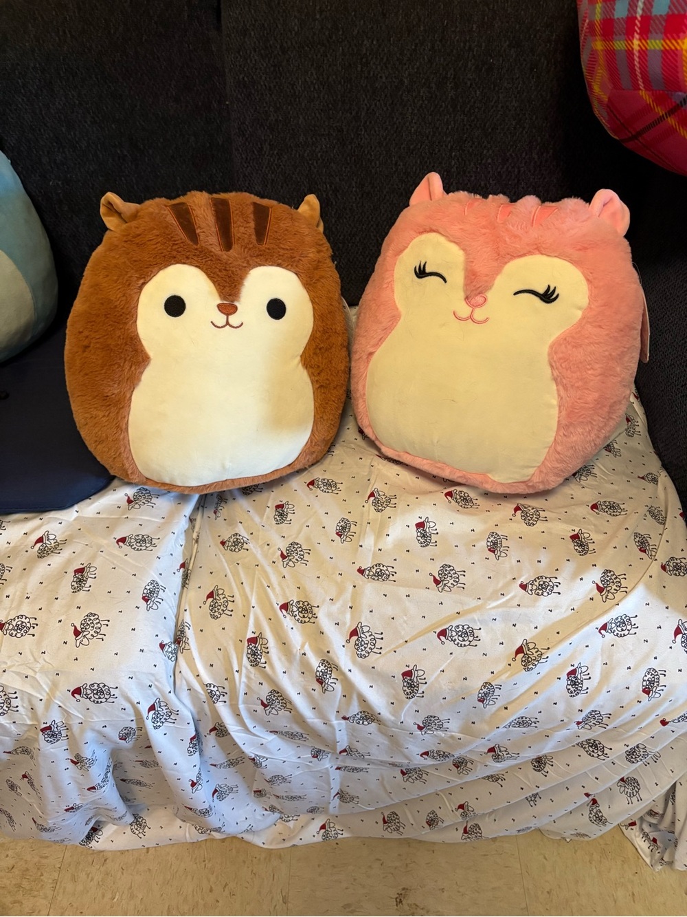 Amina & Sawyer Squirrel Squishmallows 12”